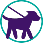 Dog Walking service