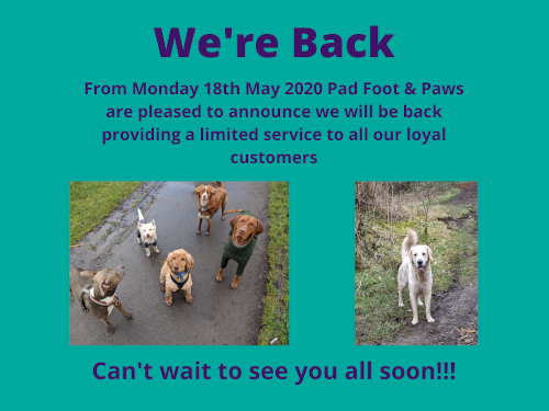 Pad Foot and Paws are back